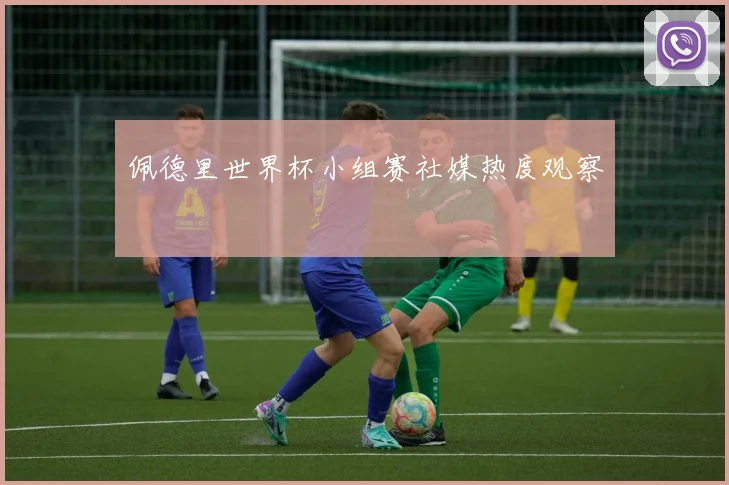 佩德里世界杯小组赛社媒热度观察