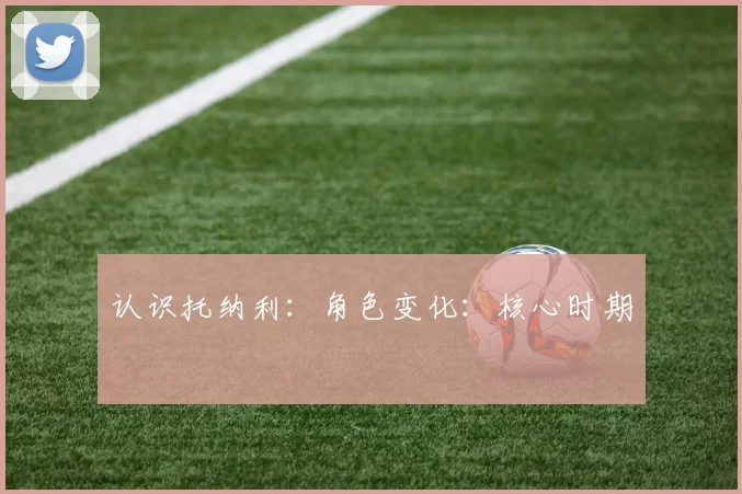 认识托纳利：角色变化：核心时期