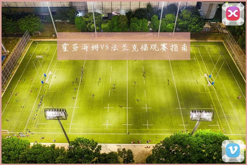 霍芬海姆vs法兰克福观赛指南
