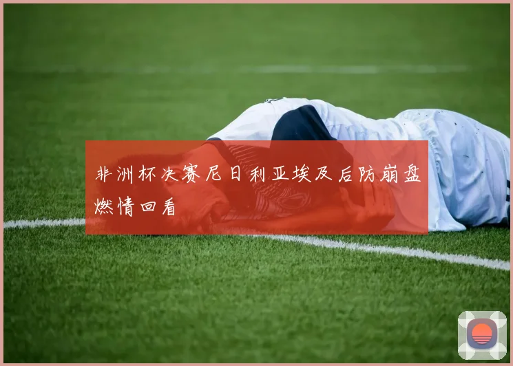 非洲杯决赛尼日利亚埃及后防崩盘燃情回看