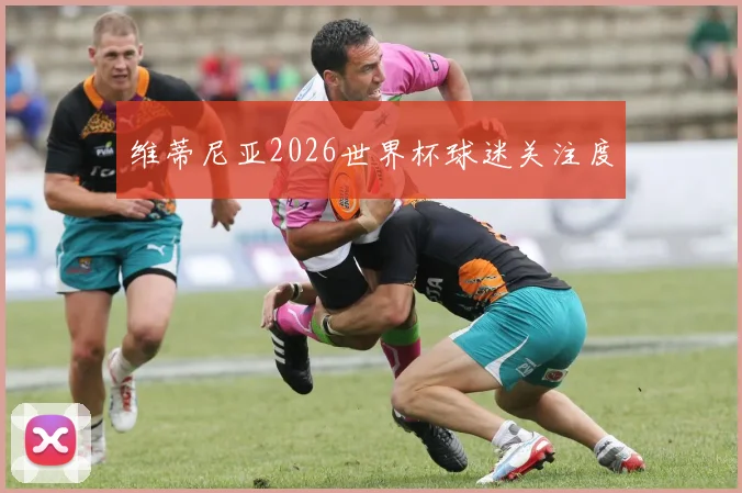 维蒂尼亚2026世界杯球迷关注度
