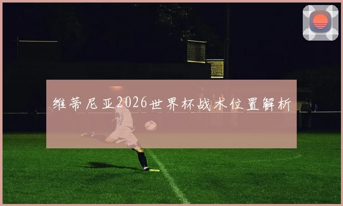 维蒂尼亚2026世界杯战术位置解析