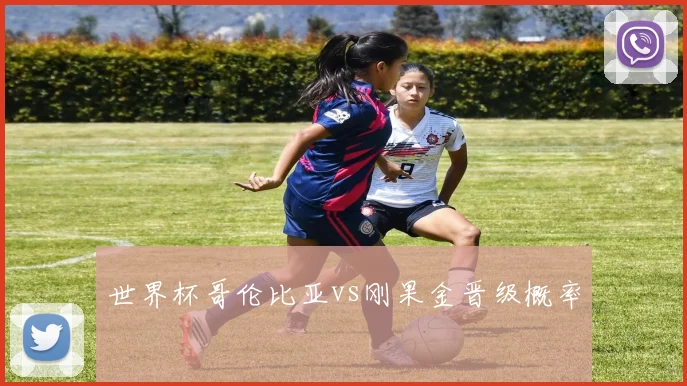 世界杯哥伦比亚vs刚果金晋级概率
