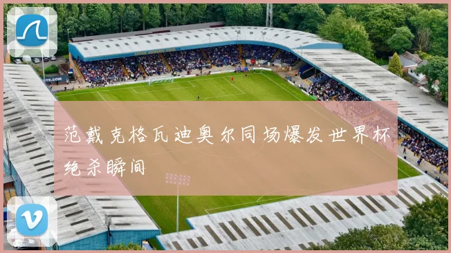 范戴克格瓦迪奥尔同场爆发世界杯绝杀瞬间