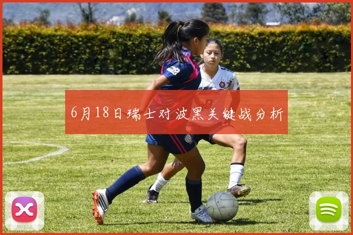 6月18日瑞士对波黑关键战分析
